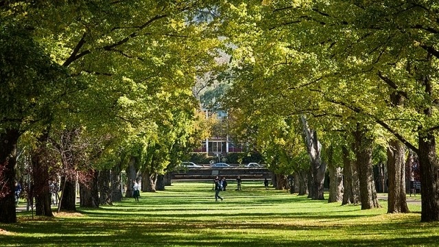 Applications Open for AuSI’s 2023–24 Visiting Fellowship Program