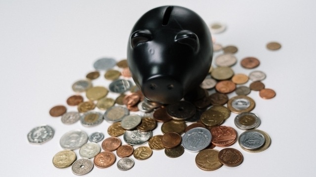 Democracy Sausage with Mark Kenny: On the money