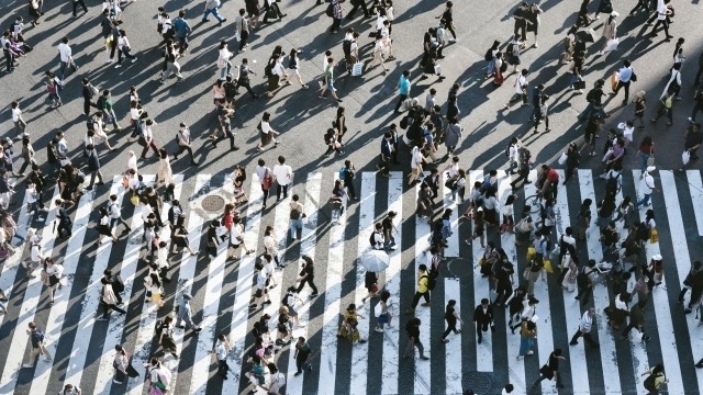 New Democracy Sausage Episode: Population panic