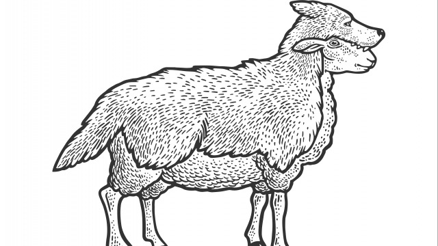 Opinion: Voters tire of Liberal sheep in wolves' clothing